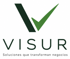 Visur Software